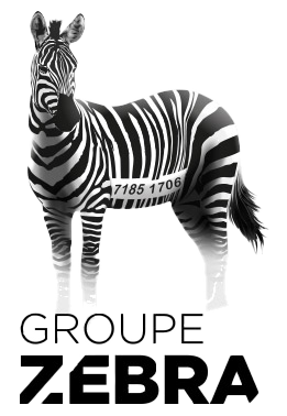 Groupe zebra