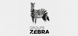 Groupe zebra