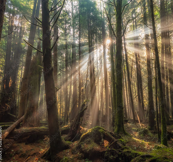 Valérie baschet et didier sensey