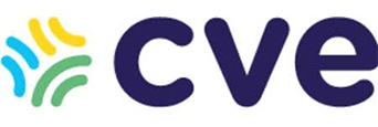 CVE